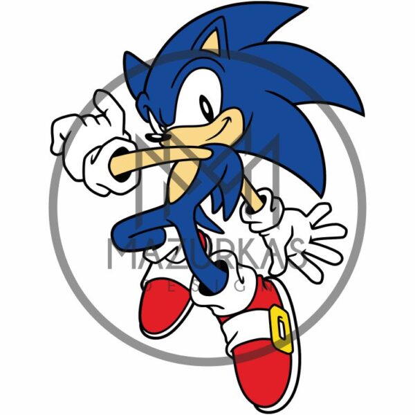 Sonic 0502