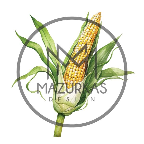 Farma 2020