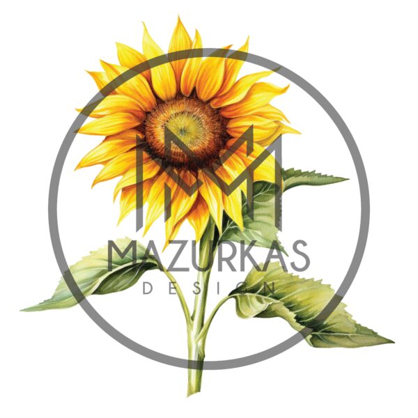 Farma 2023