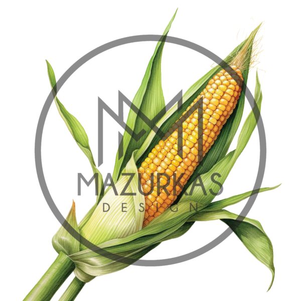 Farma 2042