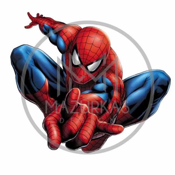 Spiderman 3104